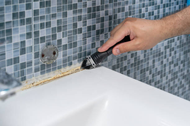 Best Toxic Mold Removal  in Franklin, NC